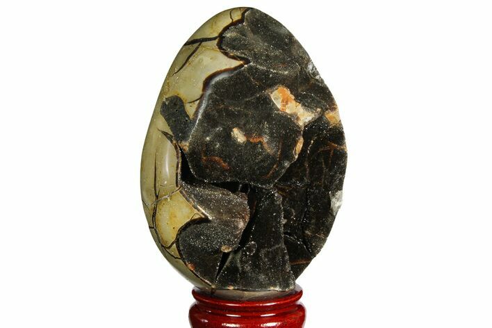 Septarian Dragon Egg Geode - Black Crystals #157874